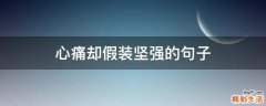 心痛却假装坚强的句子