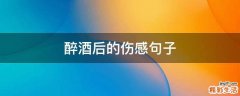 醉酒后的伤感句子