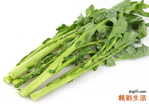 油菜苔的营养价值