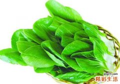 油菜的营养价值