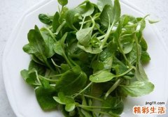 油菜苗能吃吗