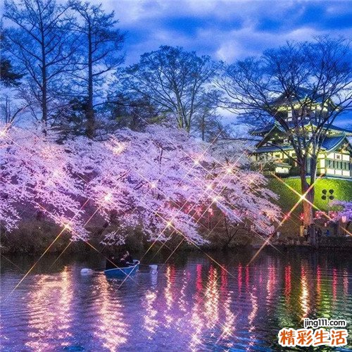 血清免疫蛋白电泳