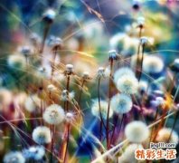 遗传筛查