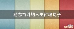 励志奋斗的人生哲理句子