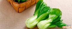 油菜不能和什么一起吃 吃油菜需要注意什么