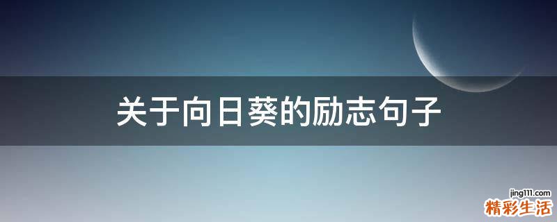 关于向日葵的励志句子