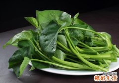 空心菜的功效与作用及禁忌