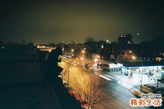 7 网友心得：与黑头斗 其乐无穷