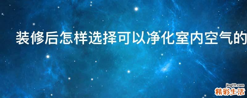 装修后怎样选择可以净化室内空气的绿色植物