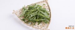 空心菜是发物吗 空心菜怎么保鲜