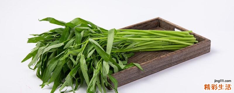 炒空心菜为什么会苦 空心菜发苦有毒吗