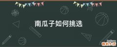 南瓜子如何挑选