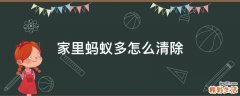家里蚂蚁多怎么清除