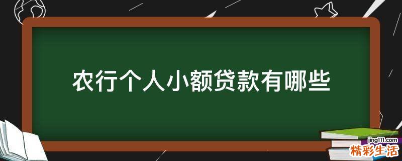农行个人小额贷款有哪些