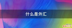 什么是外汇