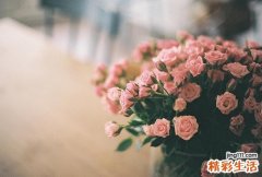 人妻必知：婆婆和老妈的17个不同点