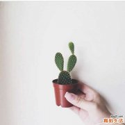 2 毛孔粗大怎么办 教你解决毛孔粗大诀窍