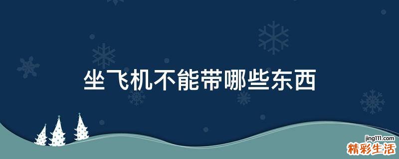 坐飞机不能带哪些东西