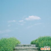 3 王瓜子