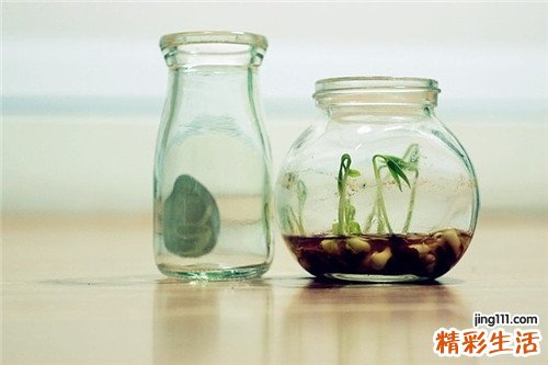 2 如何对抗粗大毛孔 简单几招紧致肌肤