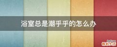 浴室总是潮乎乎的怎么办