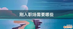 刚入职场需要哪些
