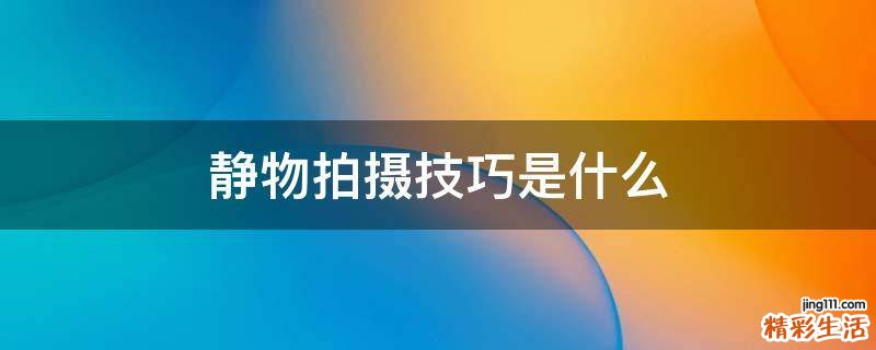 静物拍摄技巧是什么