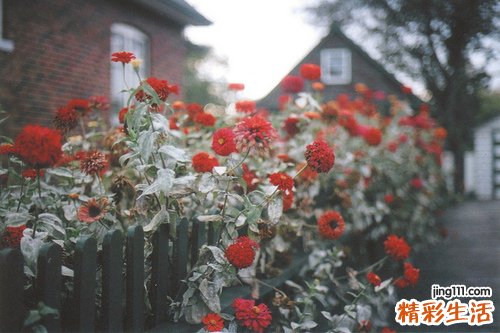 毛孔粗大诱因 你如何对付