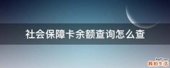 社会保障卡余额查询怎么查