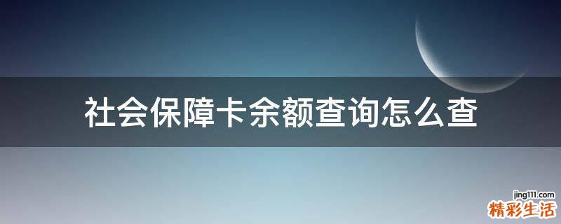 社会保障卡余额查询怎么查