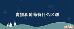 青提和葡萄有什么区别