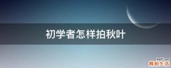 初学者怎样拍秋叶
