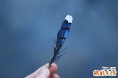 3 改善毛孔粗大秘笈 还原美白平滑肌