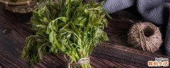 香椿芽可以冷冻保存吗 香椿的保存方法