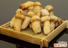 松茸不能和什么一起吃