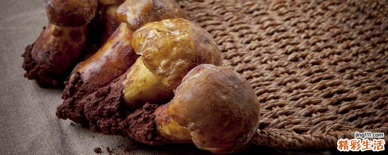 松茸的保存方法 松茸保存洗还是不洗