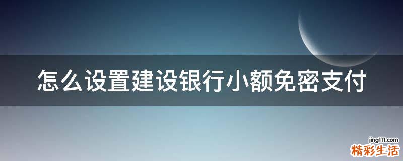 怎么设置建设银行小额免密支付