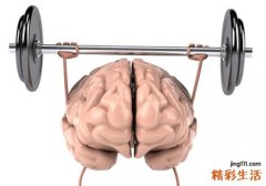 蚕豆的功效与作用及禁忌