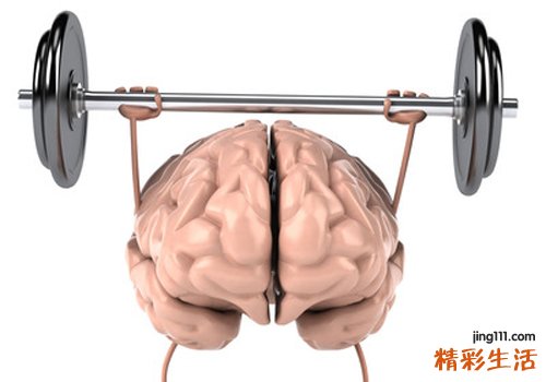 蚕豆的功效与作用及禁忌