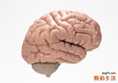 蚕豆的功效与作用及食用方法