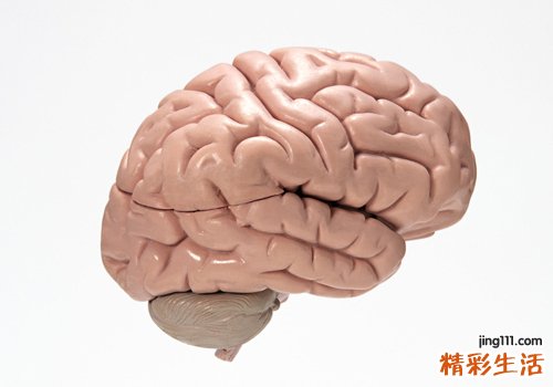 蚕豆的功效与作用及食用方法