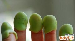 吃蚕豆的好处和坏处