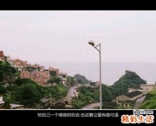 3 束花石斛