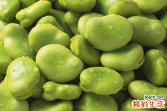 蚕豆糖尿病人能吃吗