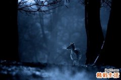 手指冻肿是怎么回事？