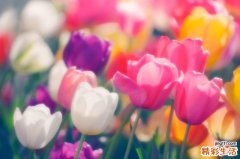 8 温和去角质 透亮肤色不敏感