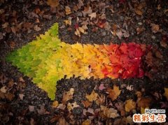 6 润唇膏并不可靠 掌握护唇法则才是王道