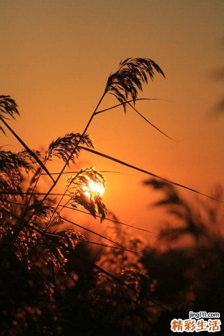 5 温和去角质 透亮肤色不敏感