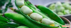 蚕豆会不会长胖 减肥能吃蚕豆吗
