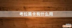 考拉黑卡有什么用